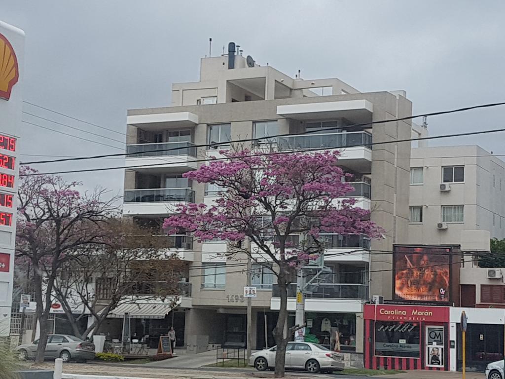 Apartamento Reyes Catolicos Salta Exterior foto